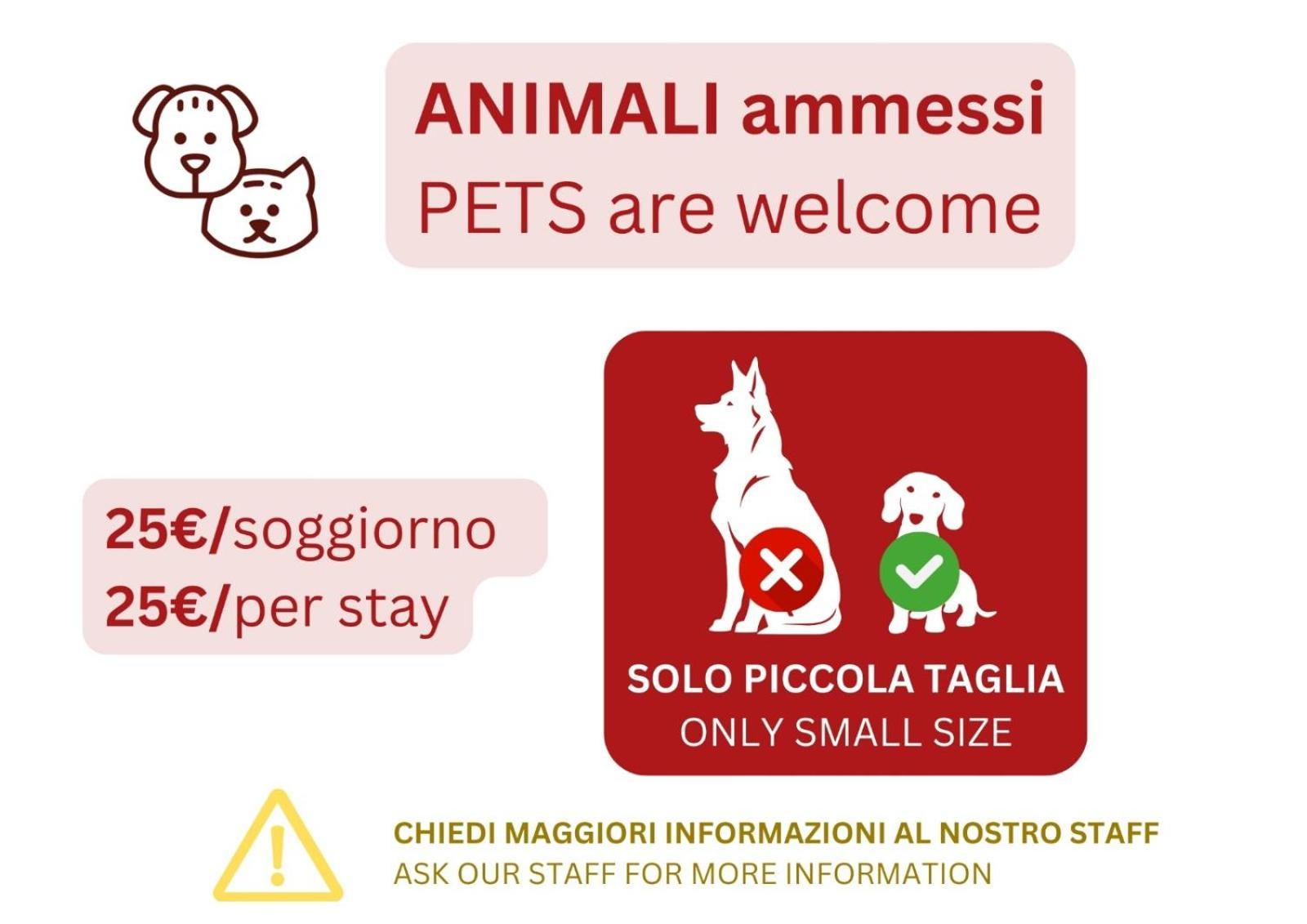 Appartamento Caseospitali - Casa Pop Art Luminoso Per 4 Citta Studi, Lambrate Milano